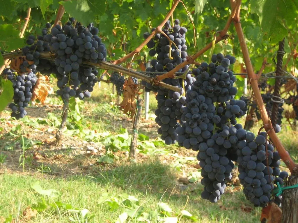 Fattoria Di Rignana Winery Bnb 그레베 인 키안티 이탈리아