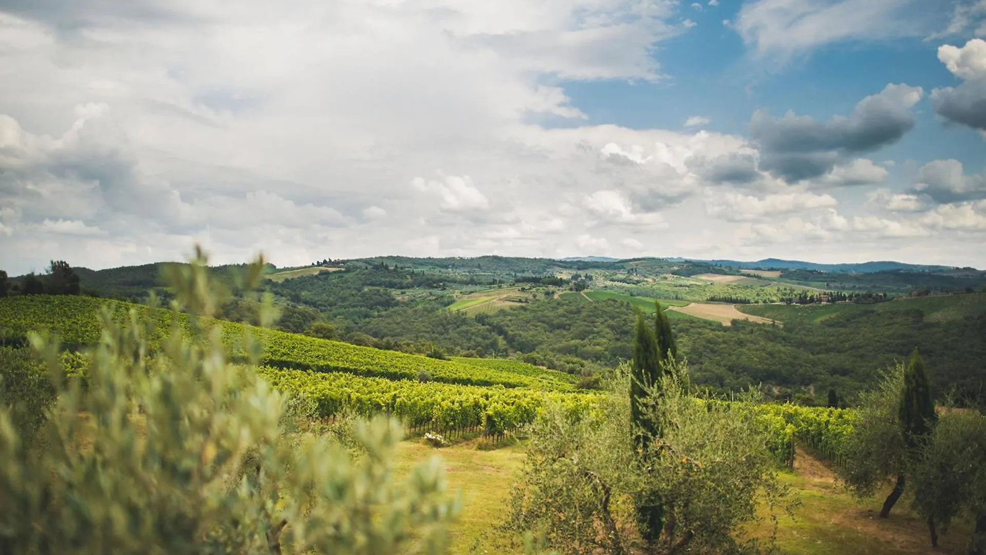 Fattoria Di Rignana Winery Bnb Greve in Chianti Farm stay